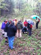 Holston Rivers members can be found in Konnarock at the Mount Rogers Naturalist Rally.